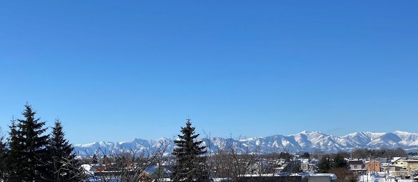 img20230127132044136601.jpg
