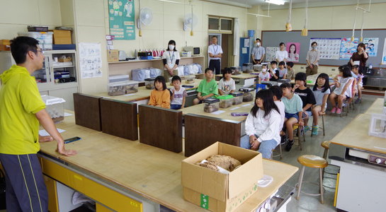imgp3683.jpg